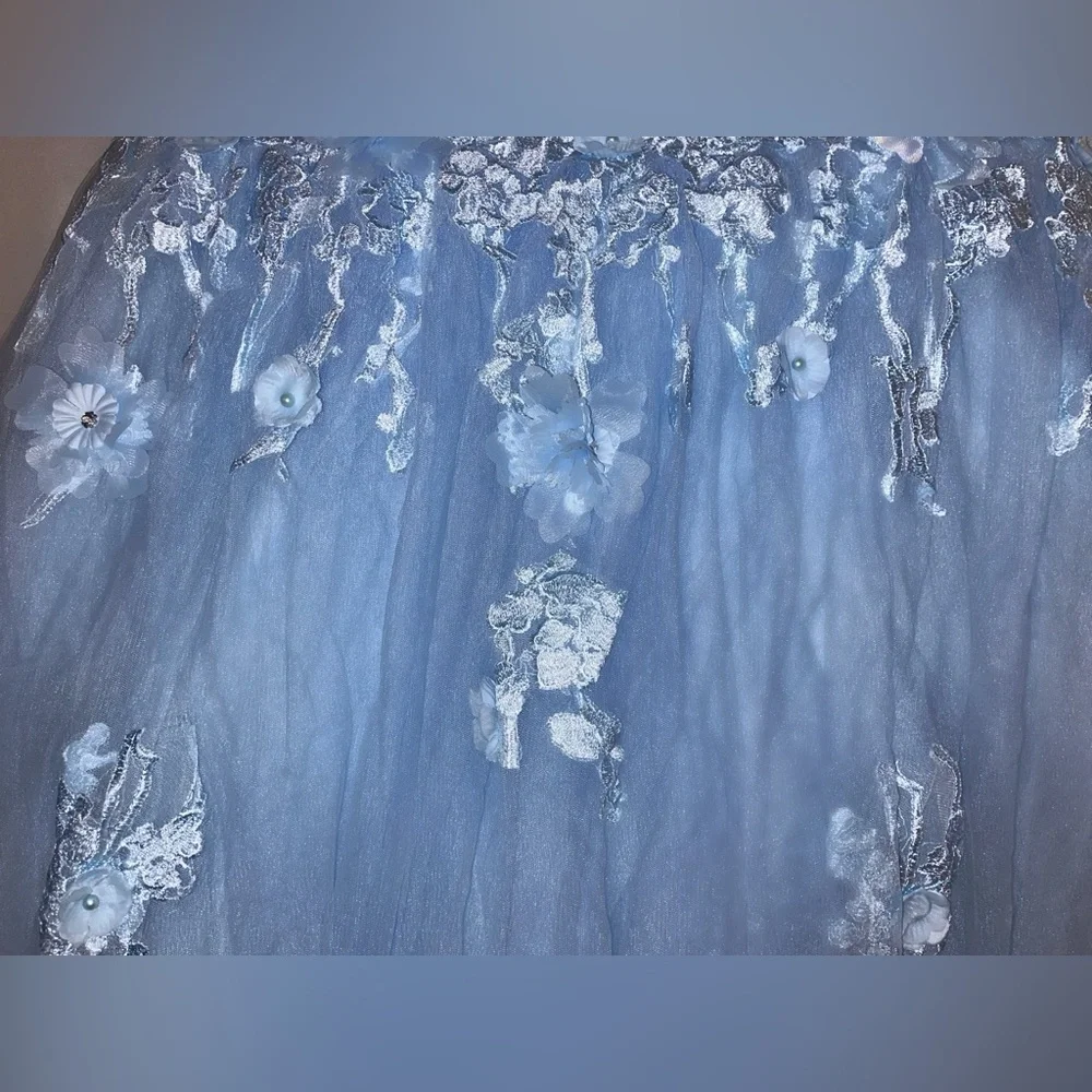 Cinderella Themed Size 14 Prom and Special Occasion Dress - Picture 6 of 7